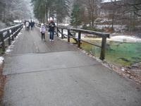 Die Brücke über die Save Bohinjka.