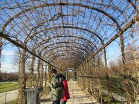 Laubengang im Park des Schlosses Schönbrunn