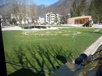 Erste Frühlingsboten.