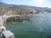 Mövenfüttern ist ein beliebter Spaß.