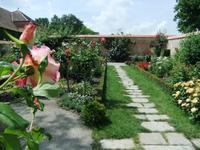 Herrlich duftet es im Rosengarten