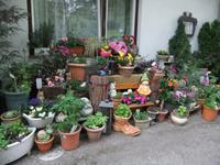 Vor unserem Hotel hat die Wirtin schön dekoriert