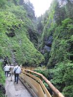 Wir besuchen die Liechtensteinklamm