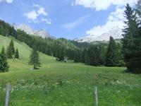 Spaziergang auf der Hofalm