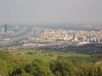   Kahlenberg Blick auf Wien