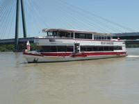  wir sind nicht allein auf der Donau