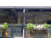 bäuerliches Stilleben