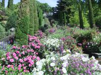 Italienische Blumen-Wassertreppe