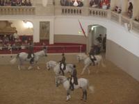 Wiener Hofreitschule