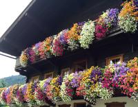 0203Radtour nach Kitzbühel