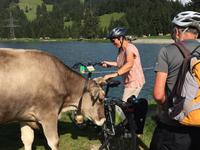 0742Begegnungen am Filzalmsee