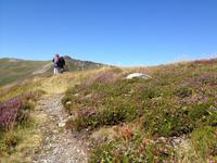 weiter geht die Wanderung entlang des Gebirgskamms