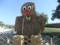 ...und so manch lustige Strohpuppe