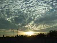 Abendstimmung bei unserer Fahrt zurück zum Hotel