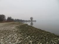 Am Bodensee