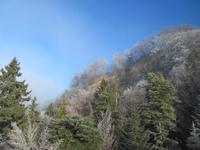 Auffahrt auf den Pfänder