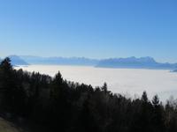 Rheintal mit Schweizer Bergen