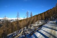 044 Kutschfahrt zur Pritzhütte, Bergpanorama