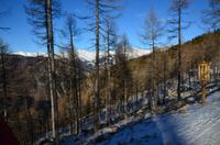 045 Kutschfahrt zur Pritzhütte, Bergpanorama