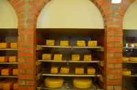 079 Kuchl, Käserei Fürstenhof