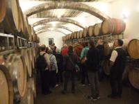 Führung im Weinkeller der Familie Auer