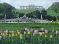 Im Park von Schloss Schönbrunn
