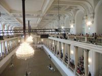 Beim Morgentraining in der Spanischen Hofreitschule