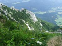 Blick vom Schneeberg
