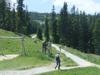 Einige Gäste wandern zum Otto-Haus