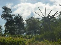 Sausaler Weinstraße