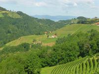 Sausaler Weinstraße