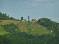 Sausaler Weinstraße