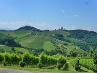 Südsteirische Weinstrasse