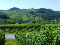 Südsteirische Weinstrasse