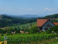 Südsteirische Weinstrasse