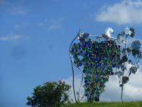 Größte Weinrebe der Welt