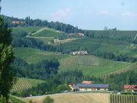 Südsteirische Weinstrasse
