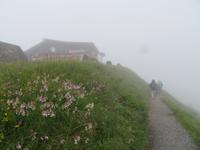Vorbei an der Hochzeller-Alm