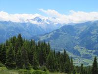 Blick zu den Gipfeln