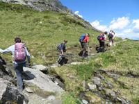 Alexander-Enzinger-Weg