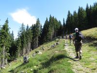Wanderung zur Schwalbenwand