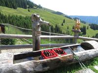 Kleine Überraschung vom Wirt