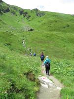 Auf dem Weg zur Alm