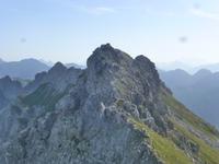 Blick vom Nebelhorn