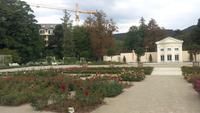 Baden bei Wien, Stadtführung, Rosarium