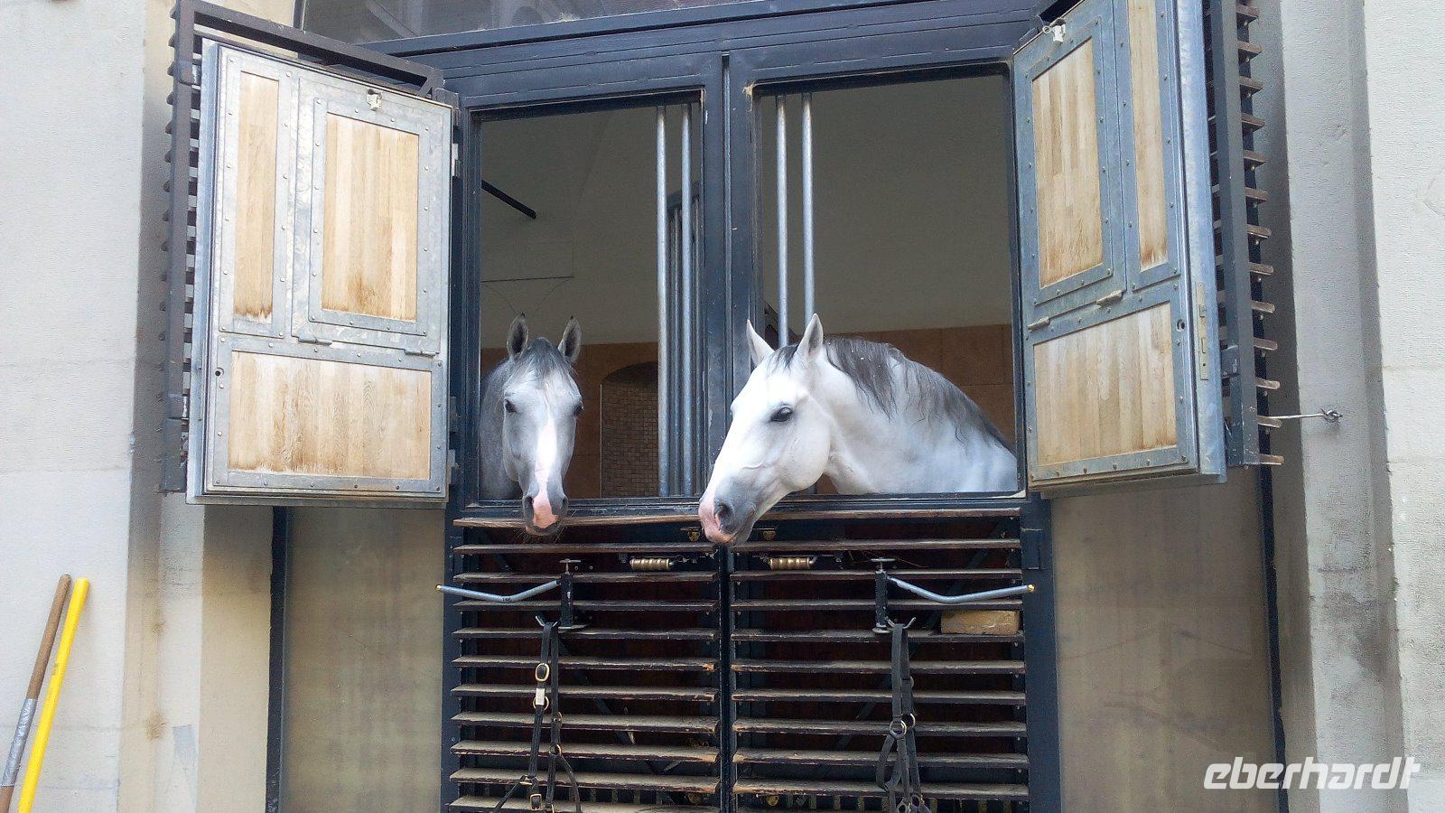 Wien, Spanische Hofreitschule