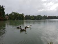 Stammkundenreise mit Benjamin nach Salzburg (146)