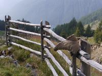 Neue Wanderschuhe Größe 43