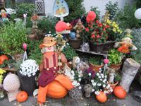 Die Wirtin hat alles herbstlich dekoriert