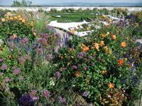 Der Barockgarten von Schloss Hof